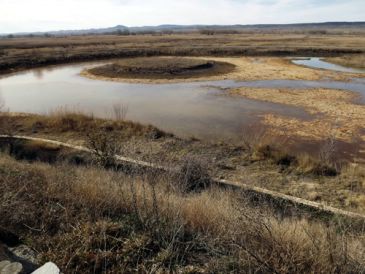 El proyecto Wetnet de la UE media en el conflicto de la laguna del Cañizar