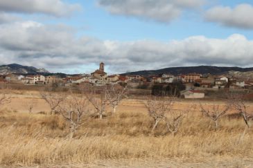 El Plan de Gestión de Gallocanta está a la espera de contar con presupuesto