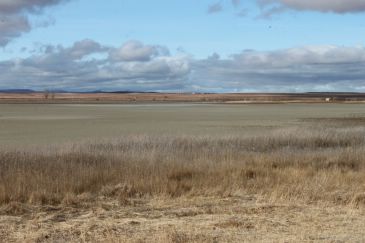 La laguna del Cañizar registra una sola especie de ave acuática