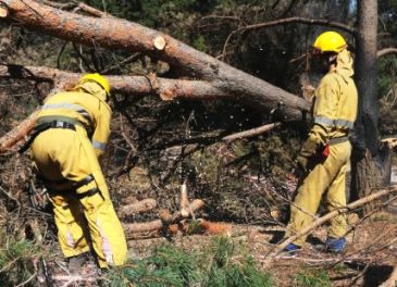 Las cuadrillas terrestres de prevención y extinción de incendios forestales empiezan a trabajar este jueves