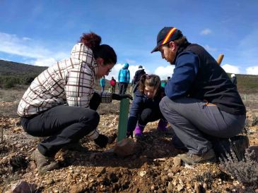 Plantamocha repuebla el monte calamochino con 300 plantas