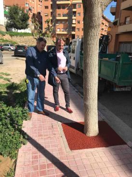 El Ayuntamiento de Alcañiz mejorará el tránsito de personas por la zona de Viveros