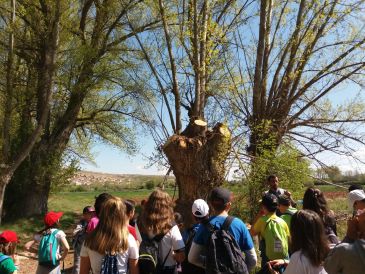 La comarca Comunidad de Teruel lleva a los más pequeños a conocer el Parque Cultural del Chopo Cabecero