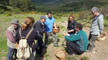 Las lluvias hacen de esta primavera un maná para los micólogos