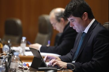 Las Cortes de Aragón piden una campaña de divulgación del nuevo decreto de purines para informar a ganaderos y gestores