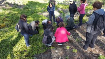 Unas quince personas disfrutarán del color de las orquídeas de Tramacastilla