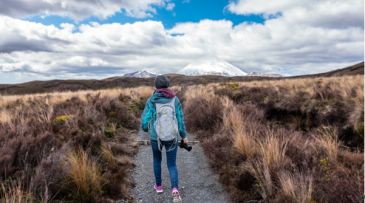 Cómo organizar el Camino de Santiago