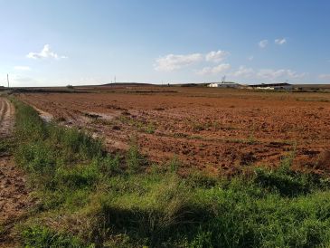 Las lluvias mejoran las perspectivas para la inminente siembra del cereal en la provincia de Teruel