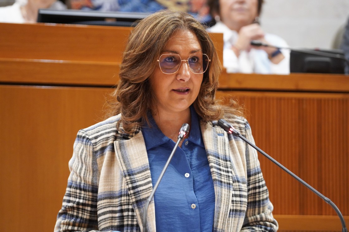Aprobada en Las Cortes la propuesta de TE de crear un Observatorio contra la violencia machista