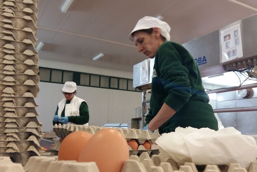 Convocadas ayudas por 1,25 millones a industrias agroalimentarias de Teruel