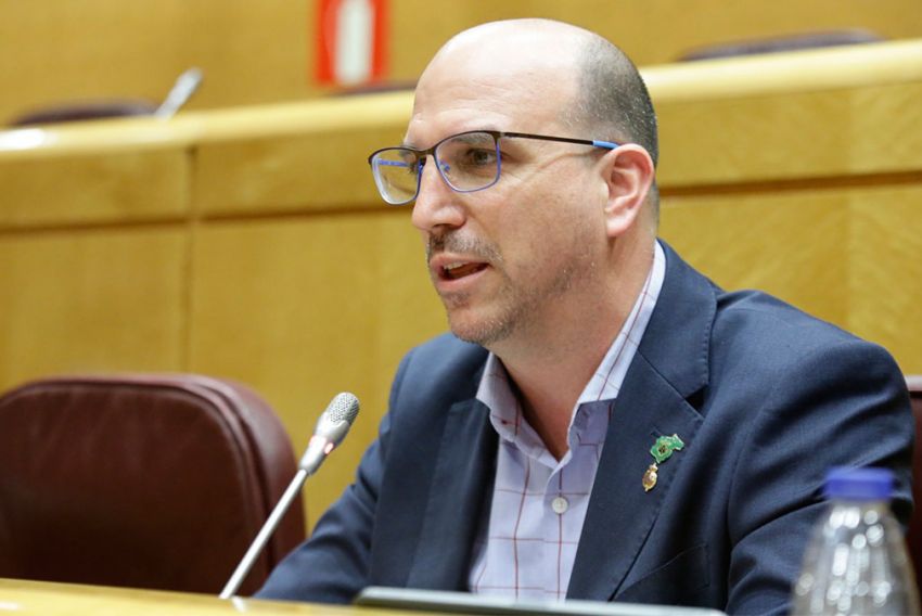 Ponentes propuestos por Teruel Existe inciden en el Senado en que las renovables no son una quimera