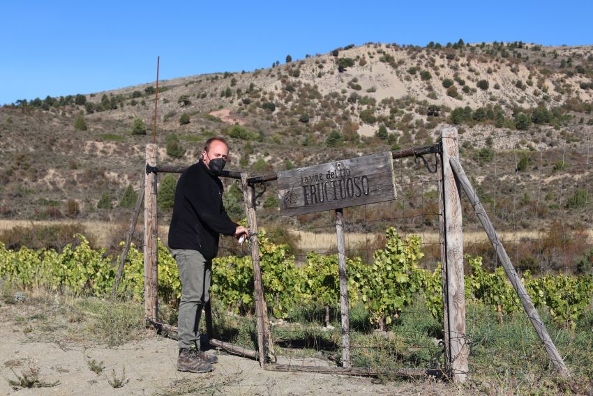 El enólogo Manuel Roldán vendimiará este año los viñedos que cultiva en Camarena, a 1.500 metros de altura