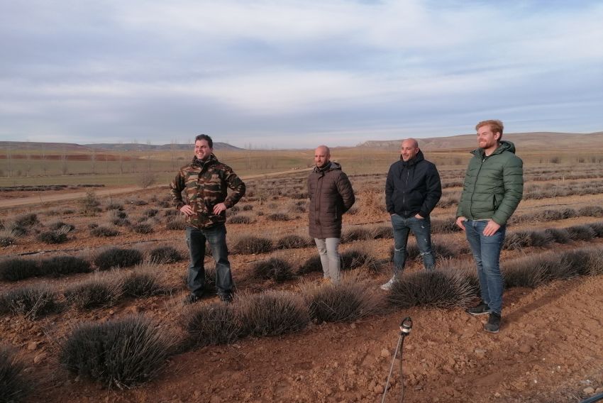 Un grupo de agricultores de Castilla descubre las propiedades de los cultivos de trufa y lavanda en Teruel