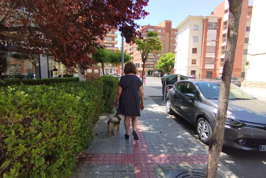Entra en vigor la ordenanza del Ayuntamiento de Teruel sobre tenencia responsable de animales de compañía
