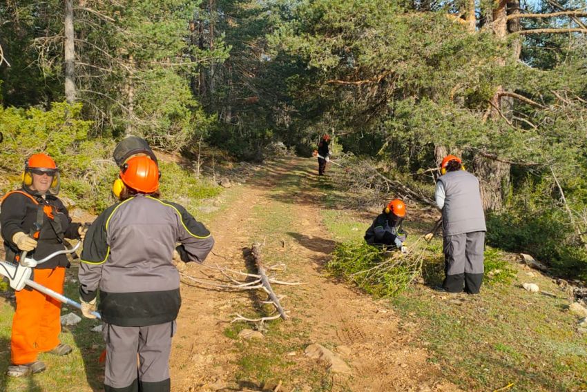 El taller de empleo forestal de la Alta Sierra de Montes Universales acondiciona caminos, fuentes y merenderos