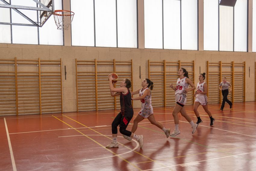 El Andorra y el Teruel Basket Mudéjar La Salle vencen en una jornada gris