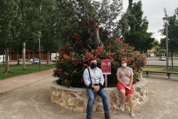 Teruel se suma al movimiento Green City Makers con una campaña de ayuda a los árboles de paseos a superar la sequía del verano