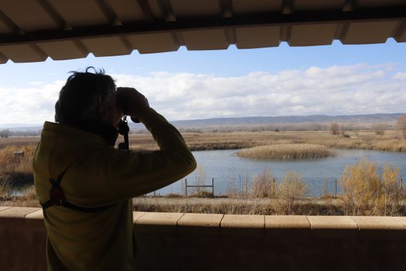 Medio Natural presenta un plan de gestión del Humedal de El Cañizar para casi 800 hectáreas