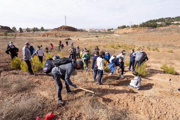La asociación Acacia planta pinos y carrascas en terrenos del parque de las Arcillas de Teruel