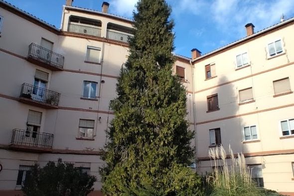 Una treintena de árboles de la ciudad de Teruel destacan por su singularidad