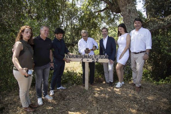 Endesa y Apadrinaunolivo recuperarán en la región portuguesa de Abrantes 10.000 olivos