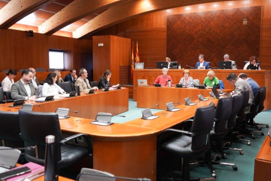 La asociación Acacia recibe el apoyo de las Cortes de Aragón para una ley de protección del arbolado urbano