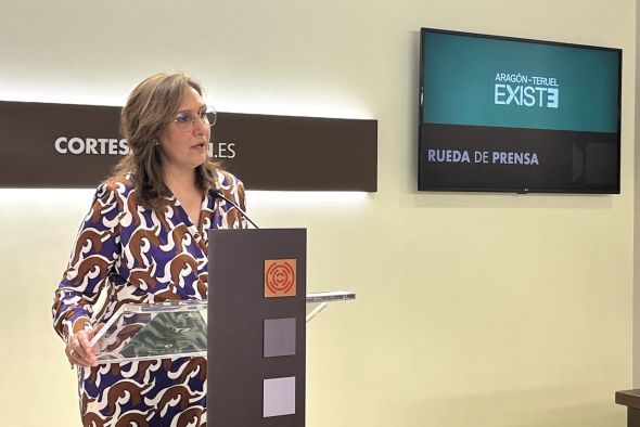 Teruel Existe propone crear un Observatorio contra la violencia de género en el medio rural