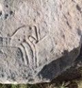 Localizan una estela ibérica con grabado de caballo en un yacimiento entre Cretas y Calaceite