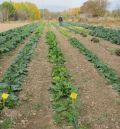 El CITA publica el tercer libro de una serie sobre legumbres y hortalizas tradicionales de Teruel