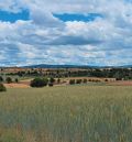 El Centro de Innovación en Bioeconomía Rural de Teruel organiza la jornada' Agroecología y Soberanía Alimentaria, el camino hacia la sostenibilidad' en Alcañiz