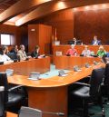 La asociación Acacia recibe el apoyo de las Cortes de Aragón para una ley de protección del arbolado urbano