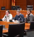 Paisajes de Teruel y Viento Alto exponen su dispar visión de las renovables en la Comisión de Investigación de las Cortes