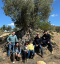La embajadora de EEUU en España visita el olivar recuperado en Oliete