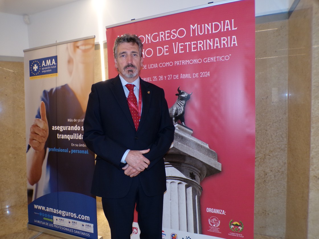 José Ramón Caballero, consejero de asuntos taurinos de la Organización Colegial Veterinaria: 