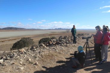 Las grullas pasan de largo este año por Gallocanta a causa de la sequía