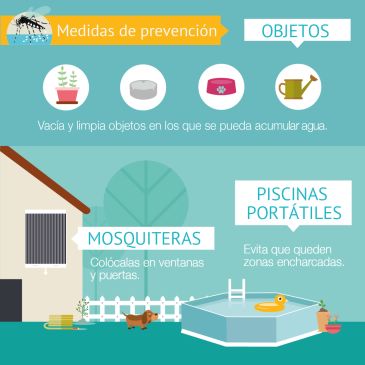 La campaña de detección del mosquito tigre registra el insecto en Alcañiz, Beceite, Calaceite y Mora de Rubielos