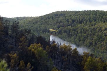 El Gobierno de Aragón da por controlado el incendio forestal declarado en Valderrobres