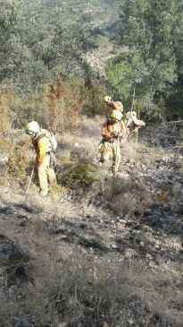 El Gobierno de Aragón va a presentar una denuncia ante la Fiscalía por los últimos incendios