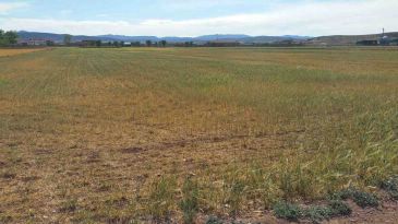 Las operaciones de préstamos de sequía concedidas por Caja Rural de Teruel superan ya los 20 millones de euros