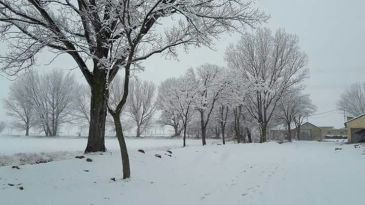 Santa Eulalia y Albarracín, a la cabeza de las localidades de España donde ha hecho más frío esta noche:  -13,9 y -12,3 grados