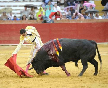 La explotación de la Plaza de Toros de Teruel sale a concurso con especial interés en la calidad de los actos