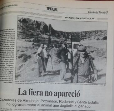 Hemeroteca: La bestia de Almohaja, un lobo gris o azul que mataba ovejas a decenas