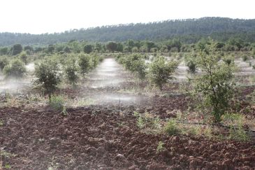 La precipitación de 2017 en Sarrión fue la más baja desde el año 1993