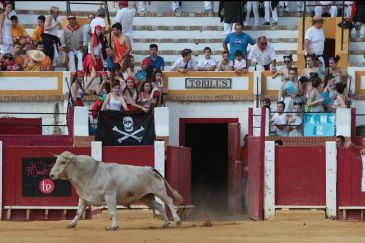 Tres empresas se interesan por gestionar la plaza de toros de Teruel en los próximos años