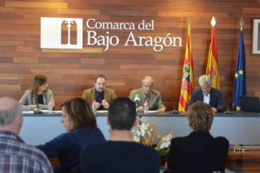 La Diputación de Teruel contratará personal en las comarcas para favorecer la inversión