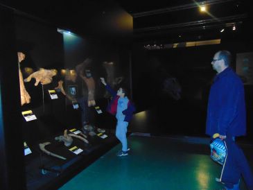 Dinópolis, un producto de la “década prodigiosa” de los museos de ciencia