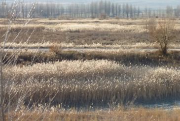 Comienza el proceso participativo para decidir el futuro de la Laguna del Cañizar en Cella