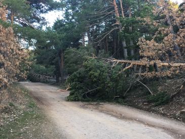 Orihuela del Tremedal reclama medidas para evitar los daños al medio natural