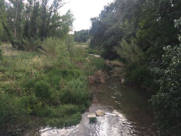 Ciudadanos Alcañiz propone recuperar la pesca en el río Guadalope