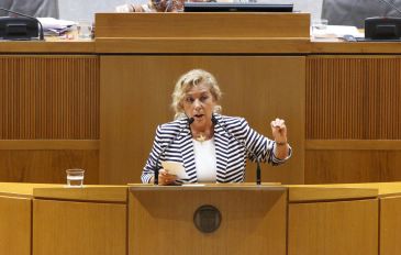 Las Cortes de Aragón consideran